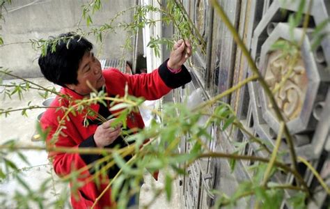 柳枝避邪|“过年挂桃符，清明插柳枝”，桃树和柳树都辟邪，有啥区别？